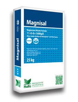 Magnisal-140113